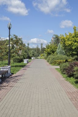  Güzel şehir parkı güneşli yaz gün. 