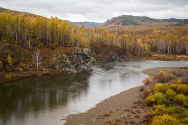  Nehir sonbahar ormanı boyunca akar. Yatay olarak.
