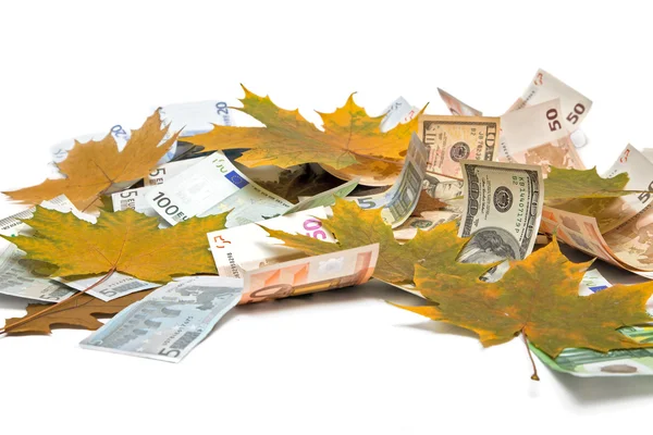 Waluty i autumn odchodzi — Zdjęcie stockowe