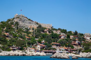 beyaz arkaplandaki kedi