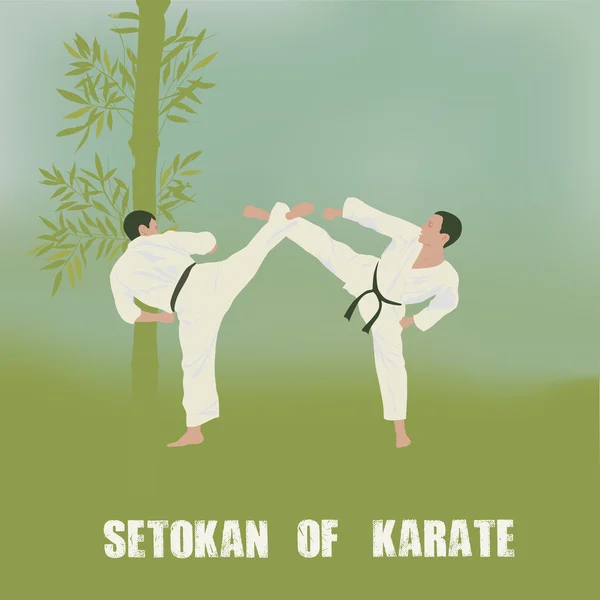 Illustrazione, due uomini sono impegnati nel karate . — Vettoriale Stock