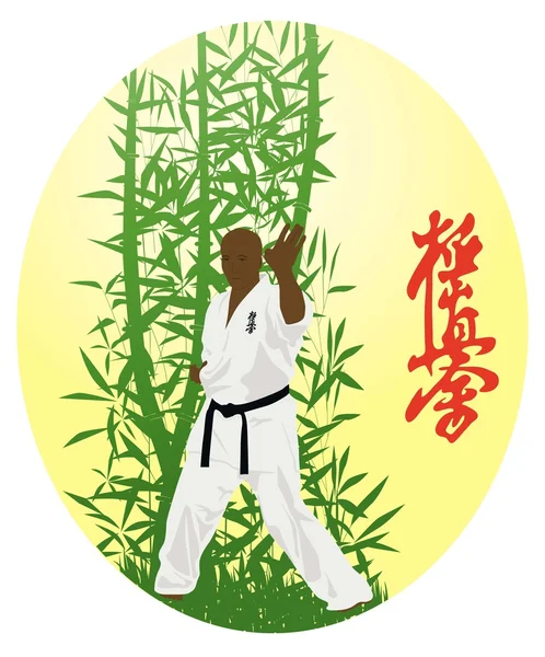 The illustration, the man shows karate on a bright background — Stock Vector