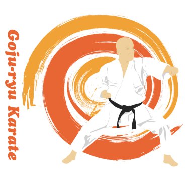 The illustration, the man is engaged in karate on a bright backg