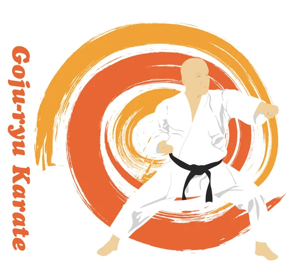 La ilustración, el hombre se dedica a karate en un backg brillante — Vector de stock