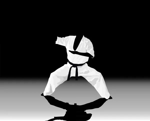 L'illustrazione, l'uomo è impegnato in karate su un bianco nero — Vettoriale Stock