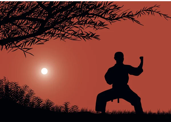 Человек занимается каратэ против солнца . — стоковый вектор