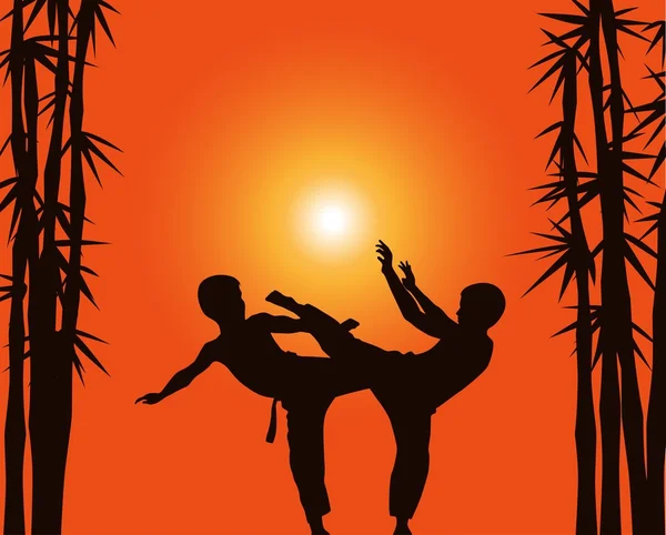 Dos muchachos demuestran el karate sobre el fondo el sol . — Vector de stock