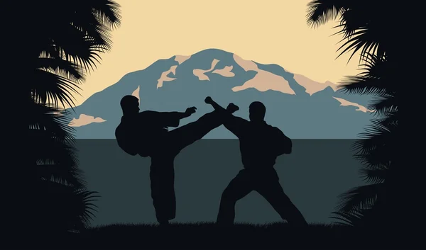 Çizimde, iki erkek karate bir arka planda bir okyanus ve dağ işgal. — Stok Vektör