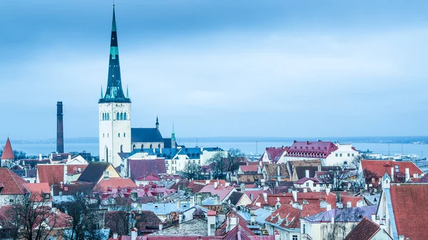 Çatılar ve Tallinn eski kiliselerin spiers görünümü — Stok fotoğraf