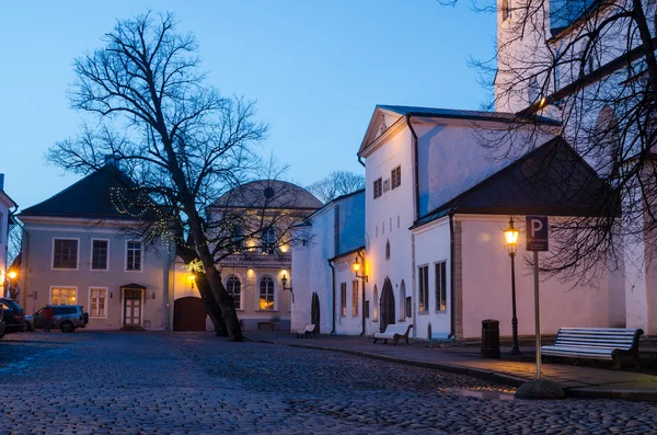 As pessoas andam na rua da velha Tallinn — Fotografia de Stock