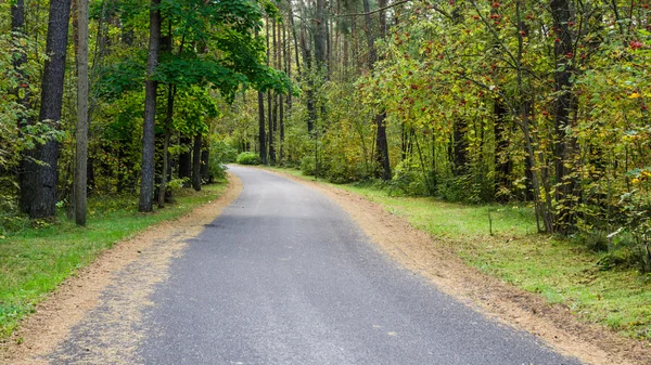 La route traverse la forêt d'automne — Photo