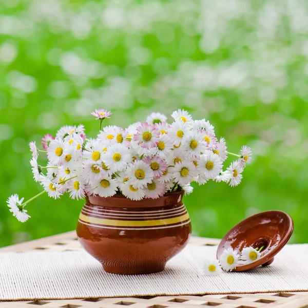 Un bouquet de marguerites dans un pot à la table — Photo