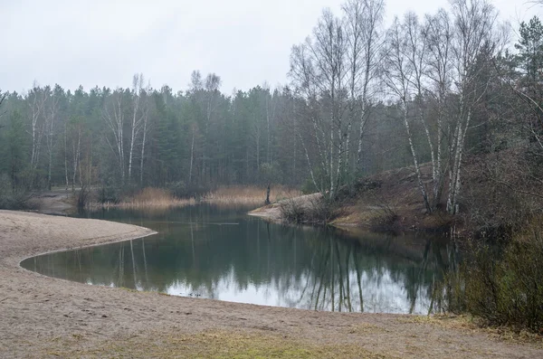 Foggy paesaggio primaverile nel lago foresta — Foto Stock