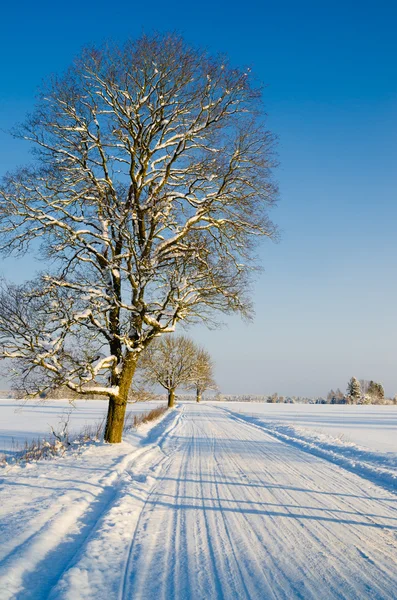 Estrada de inverno no campo, um belo dia de inverno — Fotografia de Stock