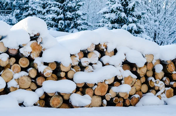 雪の降る冬の森の伐採された丸太 — ストック写真