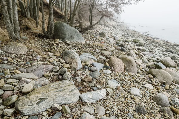 Stony coast of Baltic sea in a fog — Stock Photo, Image