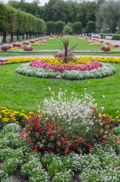 公園内の美しい花壇 — ストック写真