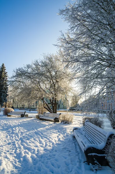 Un beau parc urbain avec des arbres couverts de givre — Photo