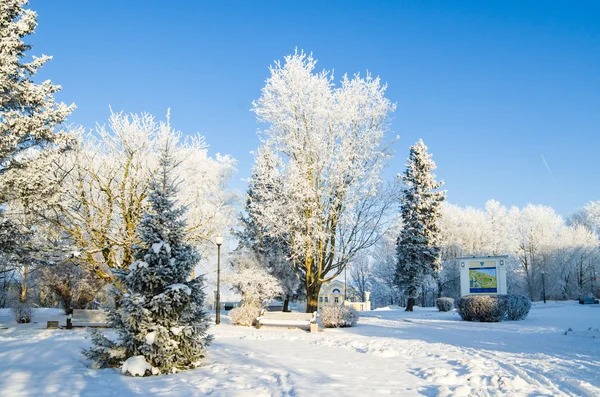 Een prachtig stadspark met bomen bedekt met rietvorst — Stockfoto