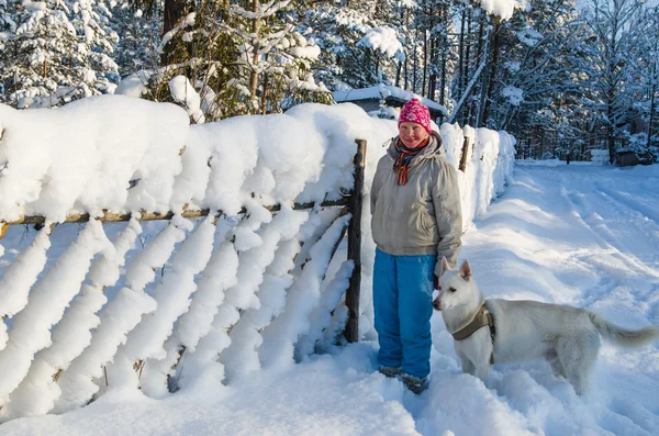 Kvinnan med en hund på promenad i en vinter trä — Stockfoto