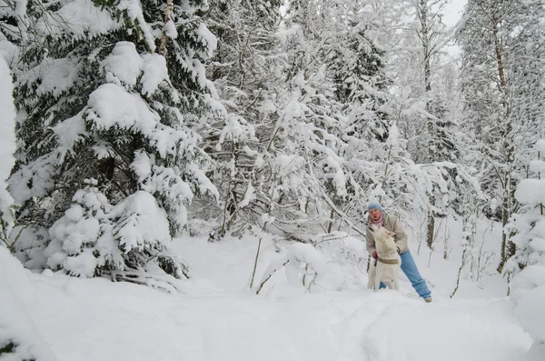 Женщина с собакой гуляет в зимнем лесу — стоковое фото