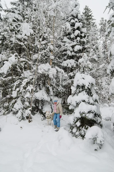 La donna con un cane in passeggiata in un bosco invernale — Foto Stock