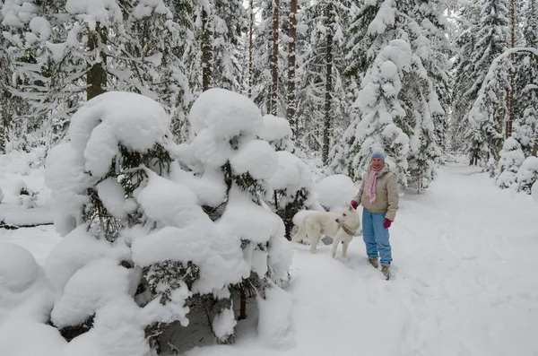 Bir kış ormanda yürüyüş bir köpekle kadın — Stok fotoğraf