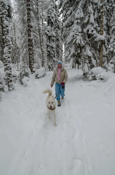 La femme avec un chien en promenade dans un bois d'hiver — Photo