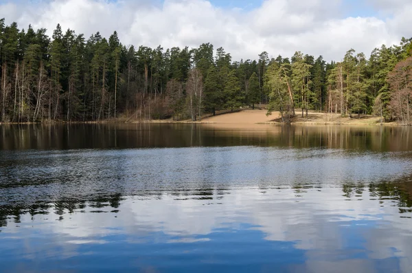 Paesaggio primaverile al lago di legno — Foto Stock