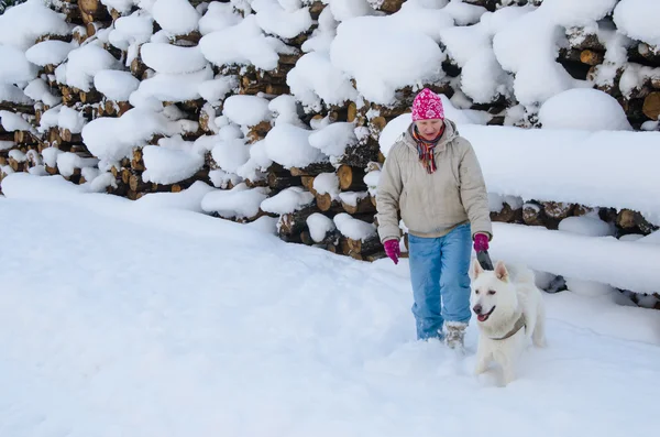 Bir kış ormanda yürüyüş bir köpekle kadın — Stok fotoğraf