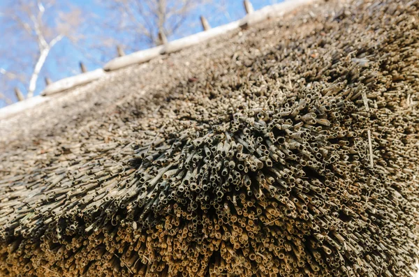 The roof covered with straw, close-up — Stock Photo, Image