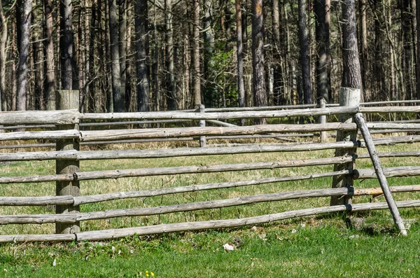 Деревянный забор весной в сельской местности — стоковое фото