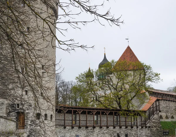 Widok w Tallinie dnia wiosny — Zdjęcie stockowe