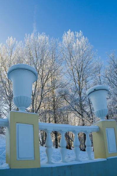 A beautiful city park with trees covered with hoarfrost — Stock Photo, Image