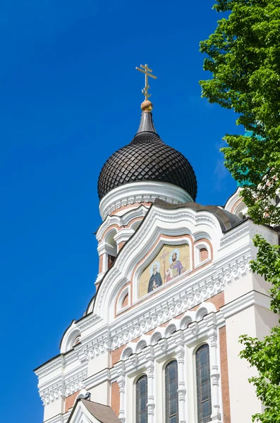 在塔林亚历山大 · 涅夫斯基大教堂的圆顶的视图 — 图库照片