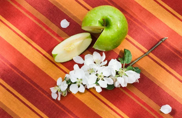 Grüner Apfel mit einem Zweig eines blühenden Apfelbaums — Stockfoto