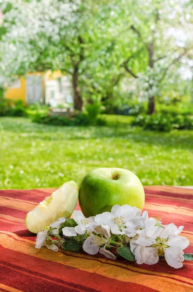 Grüner Apfel mit einem Zweig eines blühenden Apfelbaums — Stockfoto