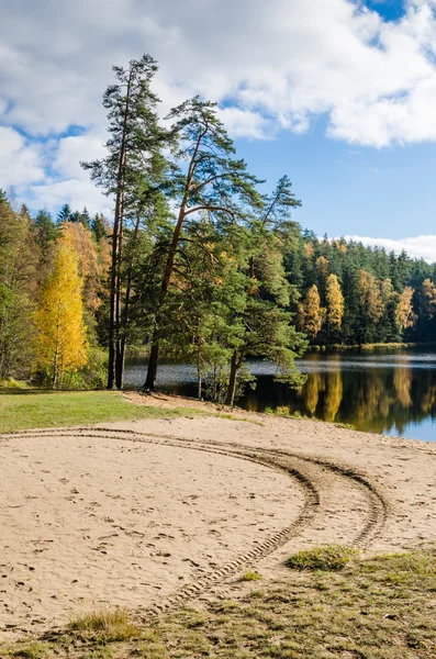 Прекрасний осінній пейзаж з лісовим озером — стокове фото
