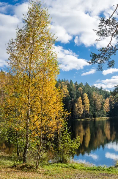 Прекрасний осінній пейзаж з лісовим озером — стокове фото