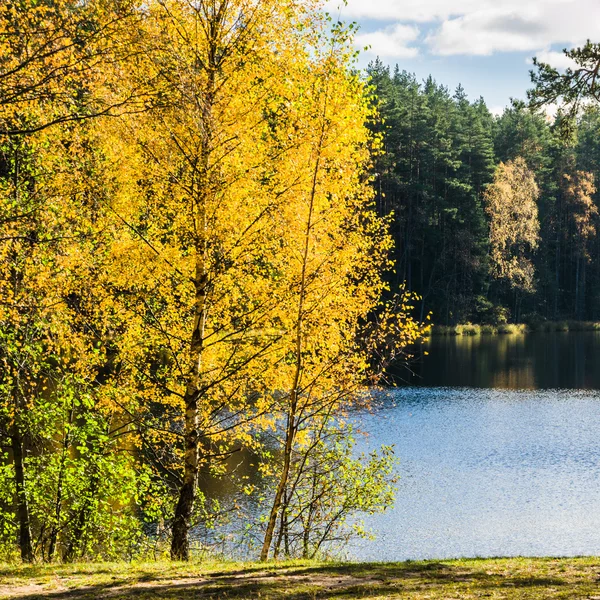 Hermoso paisaje otoñal con lago forestal — Foto de Stock