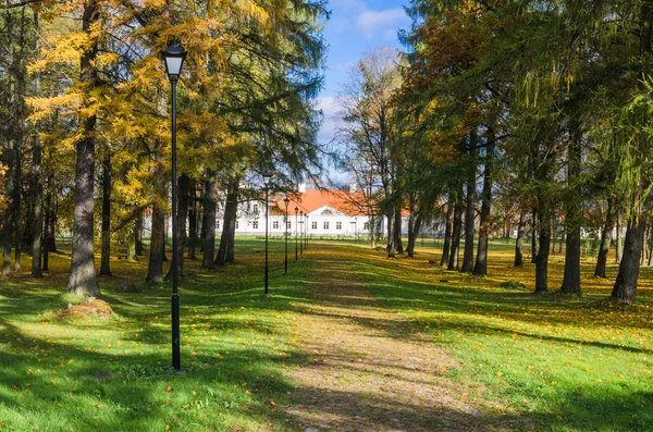 Steegje in het najaar in het oude manor park Stockfoto