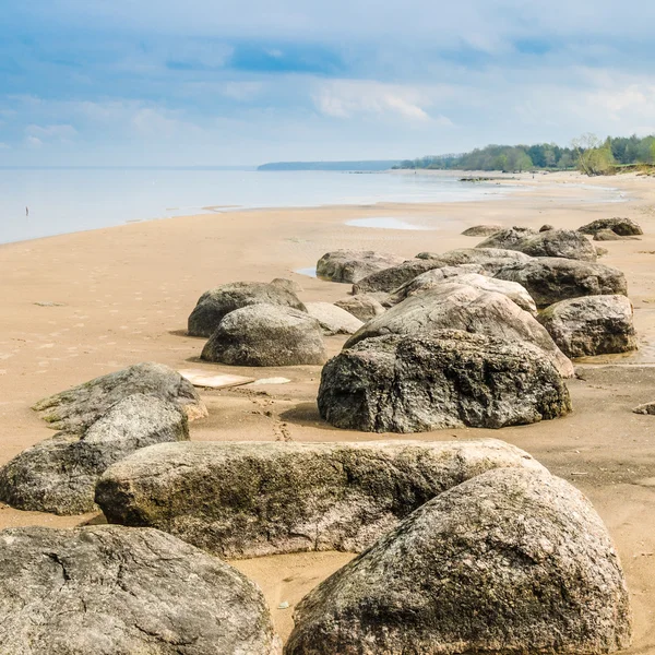 Stony on coast of Baltic sea early in the morning — Stock Photo, Image