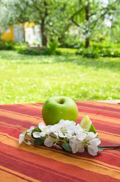 Зеленое яблоко с ветвью цветущей яблони — стоковое фото