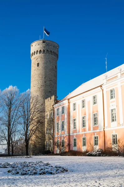 View of the tower Long Herman and the parliament building in Tal — Stock Photo, Image