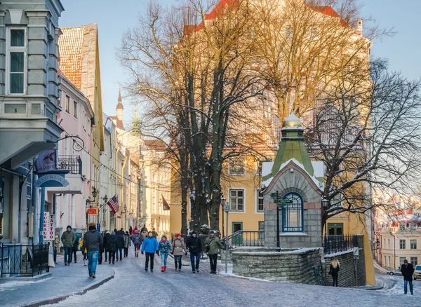 Tallinn, Estonia - 30 November: Gator och gamla stan arkite — Stockfoto