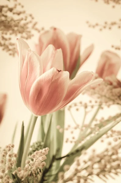 Frühlingsstrauß mit Mimose und Tulpen — Stockfoto