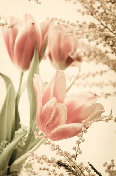 Ramo de primavera con mimosa y tulipanes — Foto de Stock