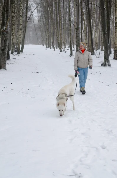 Donna con cane che cammina lungo il viale in inverno . — Foto Stock