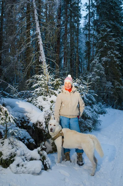 Vrouw met hond in winter bos op een wandeling — Stockfoto