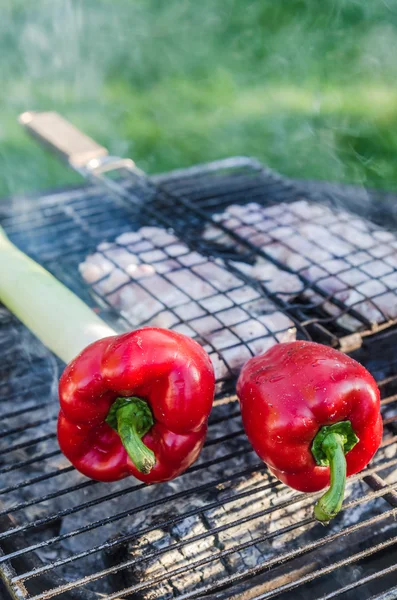 Fleisch und Gemüse auf dem Grill kochen — Stockfoto